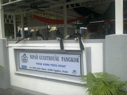 Nipah Guesthouse Pangkor Pekan Pangkor Exterior foto